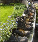 vvbvanbree bloemen en planten j  3167
